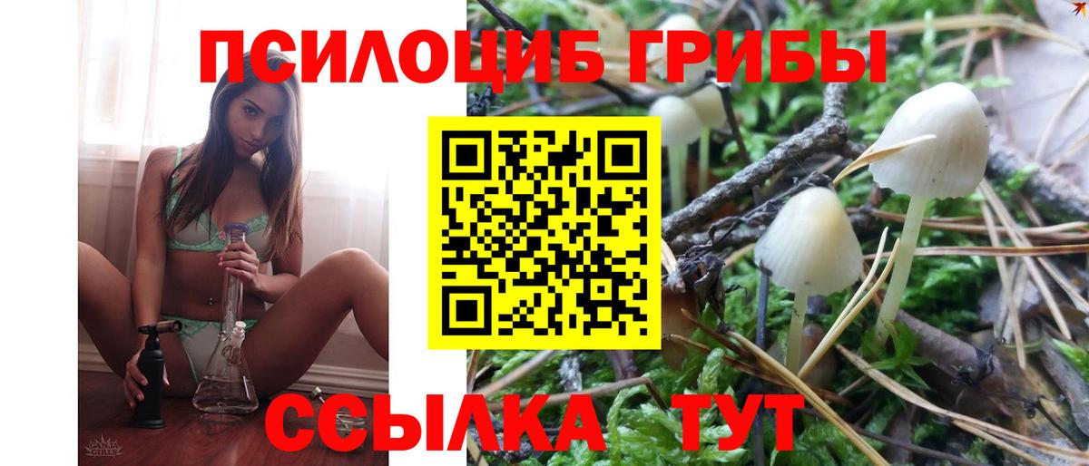 Псилоцибиновые грибы MAGIC MUSHROOMS  Вход с VPN  Псилоцибиновые грибы мицелий  Алушта 